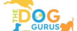 TDG-Logo-Transparent-1-400x400-1-removebg-preview (1)